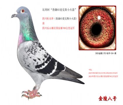 9,比利时“詹森03麦克斯小火箭”