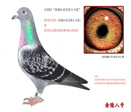 10,比利时“詹森03麦克斯小火箭”