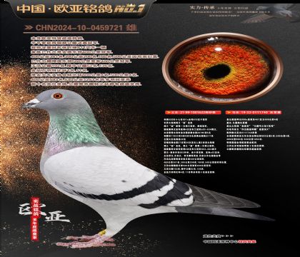 利奥851直子622冠军X盖比600公里四名740