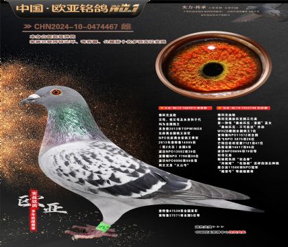 佛科克原舍015X748