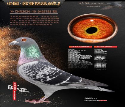 乔尔佛斯豪特原舍987X499