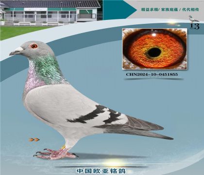 盖比原舍超级罗密欧直子727X猎鹰号127