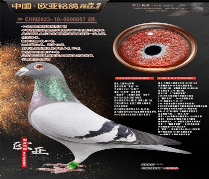 盖比.凡德纳比原舍998X199