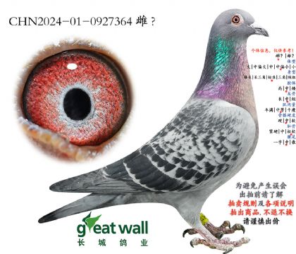 1.利奥x吉诺.0927364