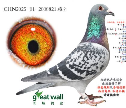 2.长城决赛537名子代.2008821