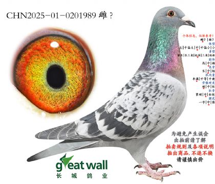 3.修长莫孙代.0201989