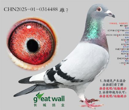 4.米奥孙代.0314488