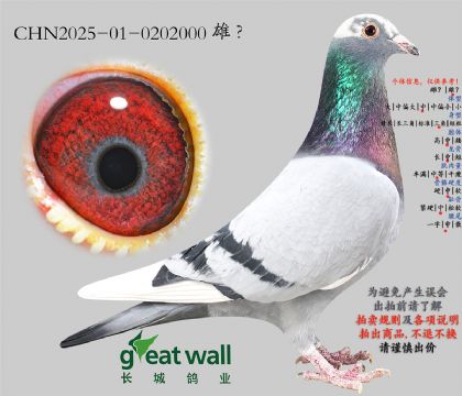 7.雷姆科孙代.0202000