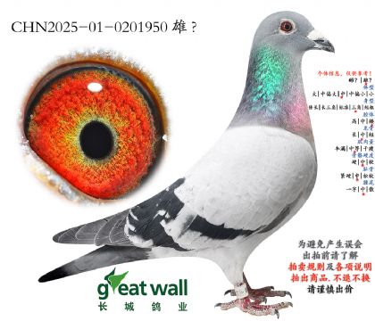 8.摩利斯孙代.0201950