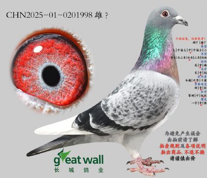 13.奶酪劳拉孙代.0201998