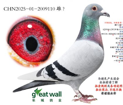 14.无限可能孙代.2009110