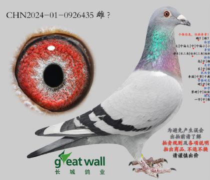 15.新克拉克x图尔斯.0926435