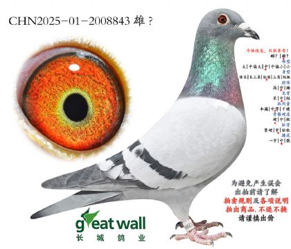 16.开创者综合63名子代.2008843