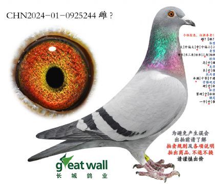 17.开创者综合季军孙代.0925244