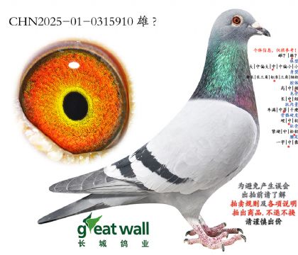 3.保时捷x菲利普.0315910