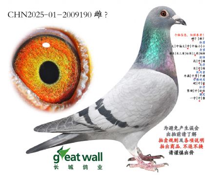 5.罗西女郎孙代.2009190