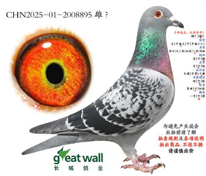 9.长城决赛16名子代.2008895