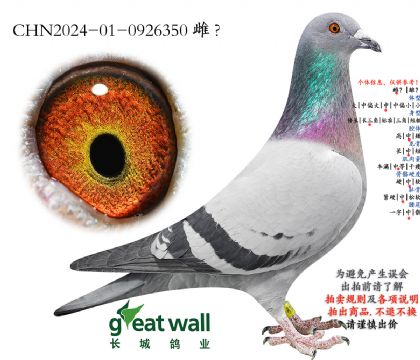 10.开创者综合22子代.0926350