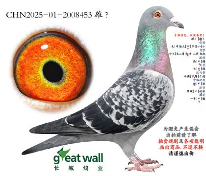 12.开创者综合季军全弟子代.2008453