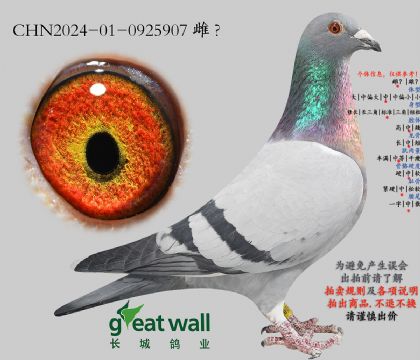 14.无限可能孙代.0925907