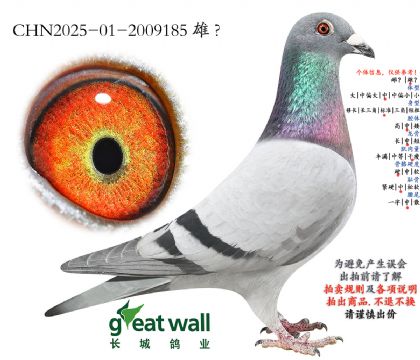 15.新克拉克近血孙代.2009185