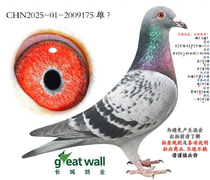 16.开创者综合亚军半平辈.2009175