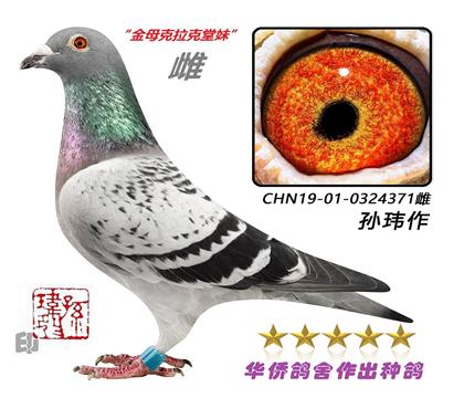 6��--������ղɭ845��֮��371��