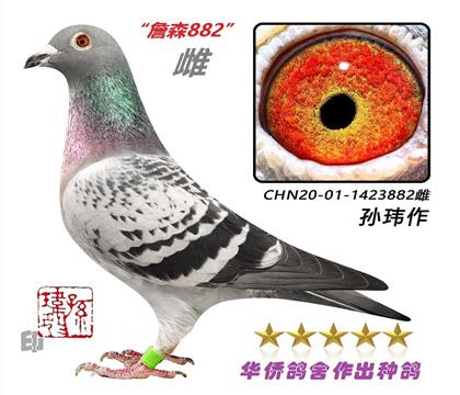 3��--����������ϵ1423882��