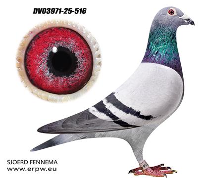 所向无敌多重回血516 雄