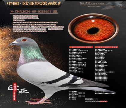 �w��ԭ����?sh��)�ֱ�?30X��ޱ�������¸��׵�191