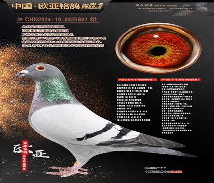 �w��ԭ���_�ܚW088X�C��̖2196