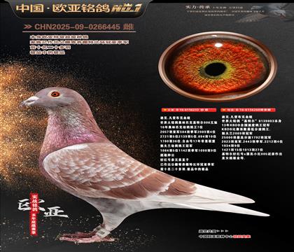 �Ͽ�.���ǲ���Ѫ�y(t��ng)���ؠ�233X260�����䌦