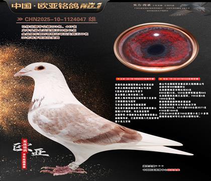 ��������ȫ����܊̩ɽ̖���ؽ��H357X133