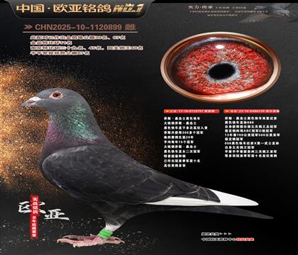 ��˹ɣ��ʿ��ɫ��܇797X539