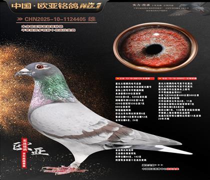 �t�w��129X951�p�ؽ��H��������