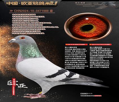 �W��6-5-0471988