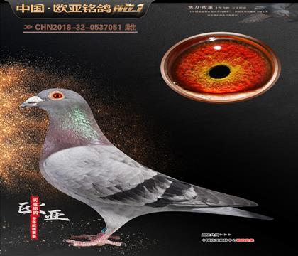 �W��7-10-0537051