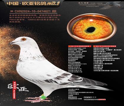 ��˹���ڰ�ѩ����698X054