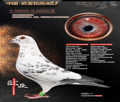 �W��8-4-0436726