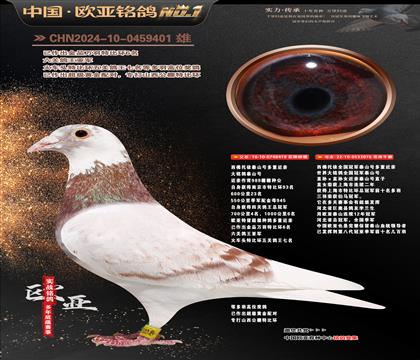 �W��8-19-0459401