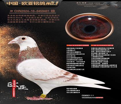 ��������ȫ���ھ�̩ɽ�Ŷ��ؽ���419X076