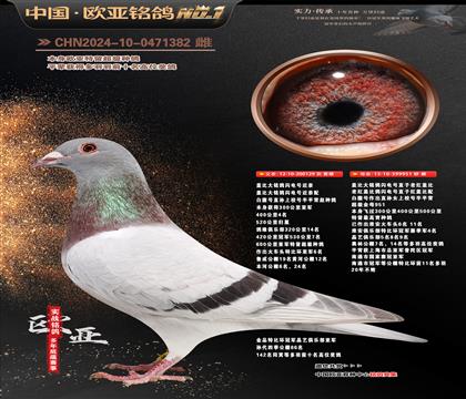 �W��9-16-0471382