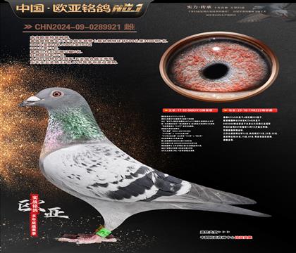 �W��10-18-0289921