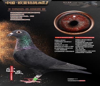 �W��7-19-0266395