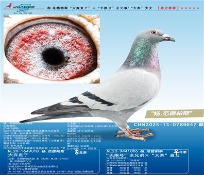 �������˹���󱼡�ֱ�ӡ����o��̖(h��o)ȫƽ݅/��ֱŮ��