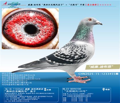 ����.�ϲ������W��ƥ���Z�L(f��ng)ֱ�ӡ������o��̖(h��o)��ƽ݅