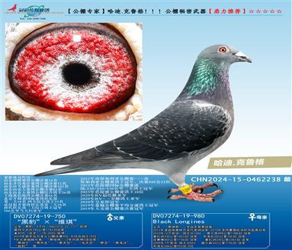 ����.�����������������������