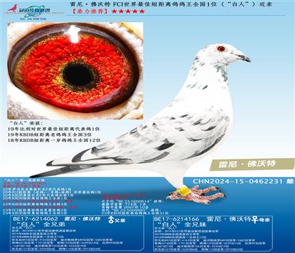 FCI������Ѷ̾��x������ȫ��1λ�������ˡ������H