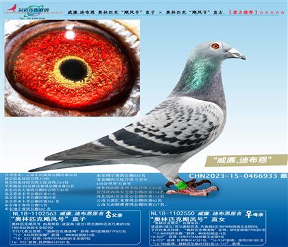 ����.�ϲ��� �W��ƥ�ˡ��Z�L(f��ng)̖(h��o)��ֱ�� �� �W��ƥ�ˡ��Z�L(f��ng)̖(h��o)��