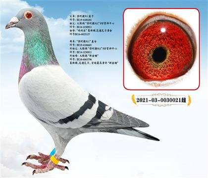 ���r��911ֱ��X���r��911ֱŮ